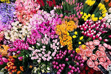 开放世界回合RPG《磁带怪兽》将登陆PC和主机平台